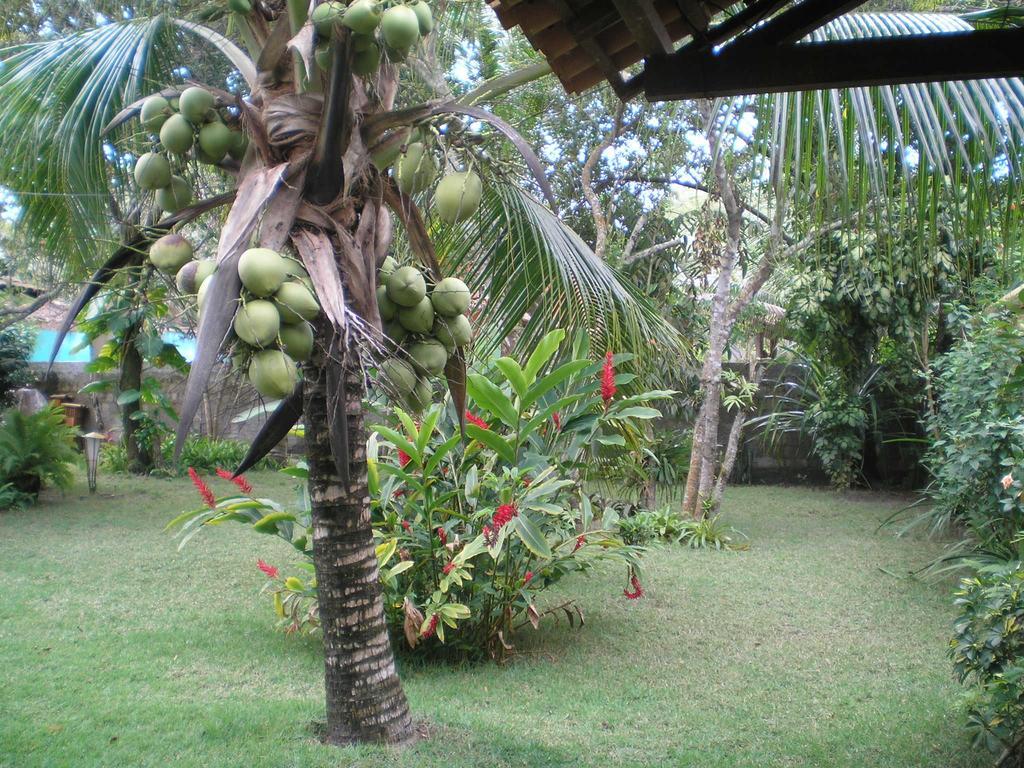 Villa Casa Da Duda à Porto Seguro Chambre photo
